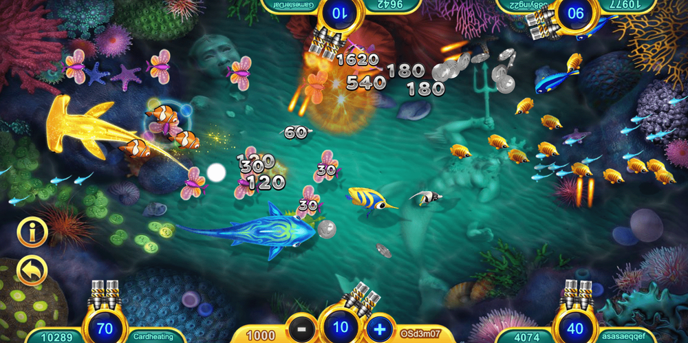 Fu+Fish